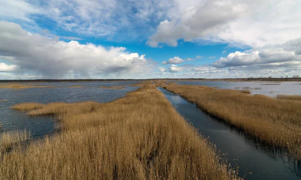 Vue Tour Lac Tourbière Nombreux Roseaux Éblouissement Ciel Dans Eau — Photo