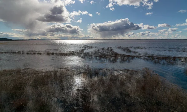 Sunny Landscape Lake Distance Dry Reeds Foreground Clouds Glistening Water — Stock Photo, Image