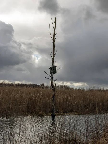 Gölün kıyısında kuş kafesli ahşap, kuru sazlıklar ve su yansımaları.