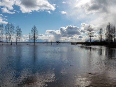Göllü güneşli bir manzara, suda parlayan bulutlar, uzaktaki çıplak ağaç siluetleri.