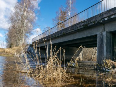 Köprüsü olan bahar manzarası, ön planda eski çimlerin ve çalıların resimleri.