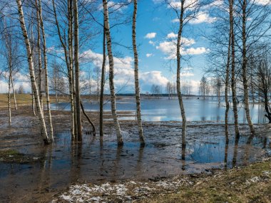 Göllü güneşli bir manzara, suda parlayan bulutlar, uzaktaki çıplak ağaç siluetleri.