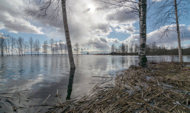 Uzakta bir göl ve önde kuru sazlıklar, suda parlayan bulutlar.