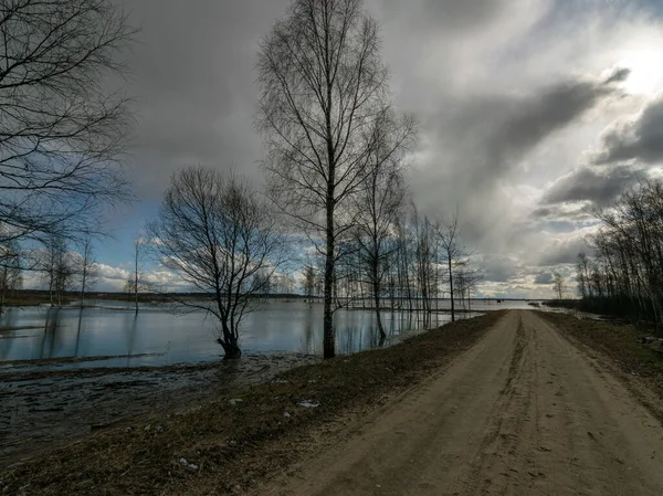 landscape with a flooded lake in spring, the path to the beach ends in water