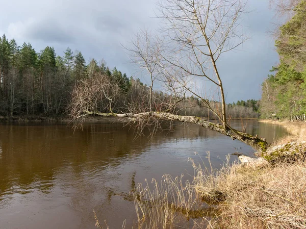 Vackert Soligt Landskap Med Flod Sol Skiner Stranden Floden Floden — Stockfoto