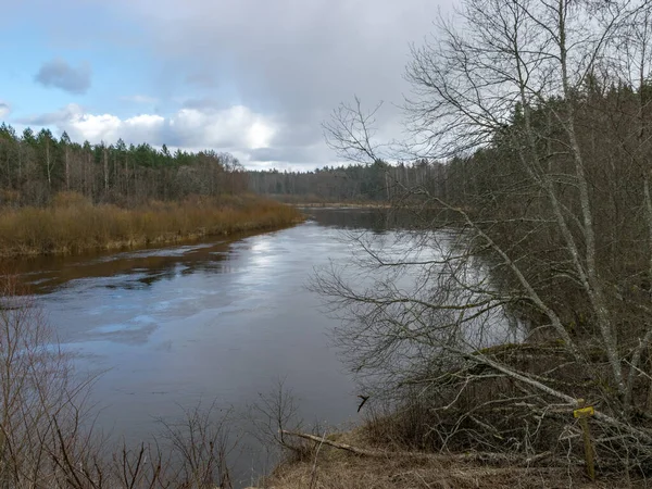 Vue Sur Rivière Début Printemps Herbe Sèche Silhouettes Arbres Nus — Photo