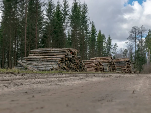 A stack of wooden logs piled on the side of the road, spring landscape