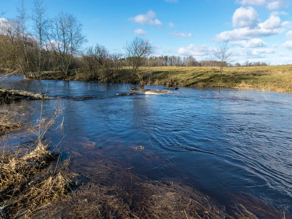 Uitzicht Vanaf Brug Naar Rivier Het Vroege Voorjaar Veel Omgevallen — Stockfoto