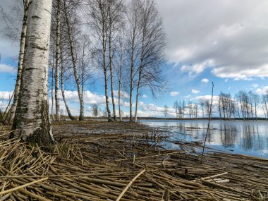 Uzakta bir göl ve önde kuru sazlıklar, suda parlayan bulutlar.