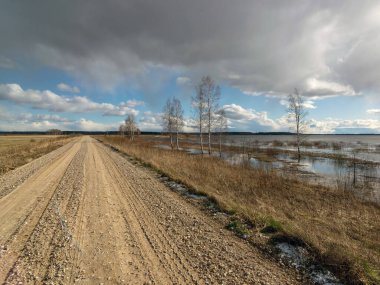 Basit bir kır yolu manzarası, güneşli bir bahar günü