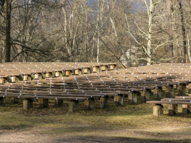 Parkta sıra sıra ahşap banklar, ağaçların gölgeleri olan manzara.