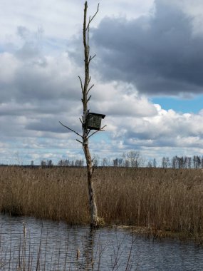 Gölün kıyısında kuş kafesli ahşap, kuru sazlıklar ve su yansımaları.