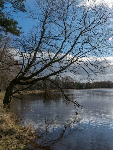 Beau Paysage Ensoleillé Avec Rivière Soleil Brille Sur Les Rives — Photo