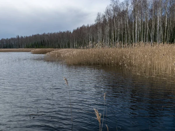 Vackert Landskap Med Sjö Torrt Gräs Och Kala Träd — Stockfoto