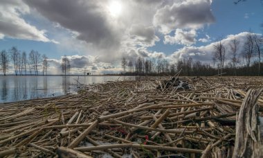 Uzakta bir göl ve önde kuru sazlıklar, suda parlayan bulutlar.