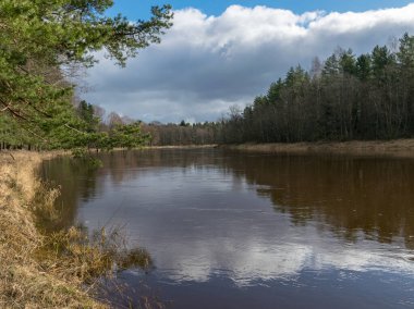 güzel güneşli nehir manzarası, nehrin kıyısında güneş parlıyor, Gauja nehri, Strenci, Letonya