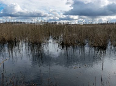 Göl ve gökyüzünün arka planda olduğu güzel manzara, ön planda bulanık su.
