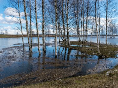 Uzakta bir göl ve önde kuru sazlıklar, suda parlayan bulutlar.