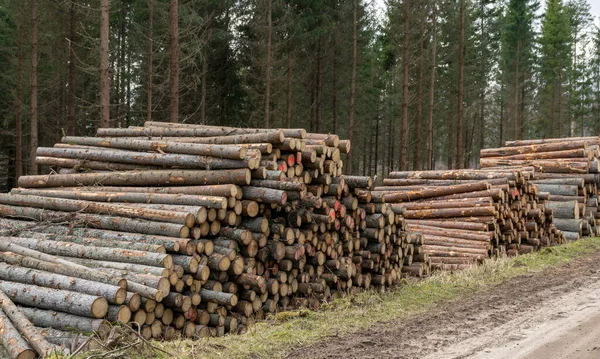 Hromada Dřevěných Klád Navršených Krajnice Jarní Krajina — Stock fotografie