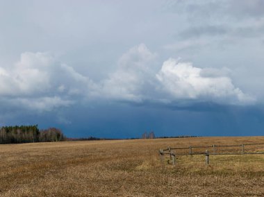Taze sakallı tarım tarlaları hasat sonrası, güzel bulut