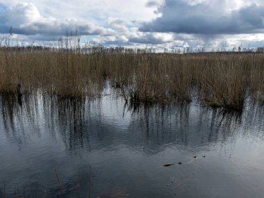 Göl ve gökyüzünün arka planda olduğu güzel manzara, ön planda bulanık su.