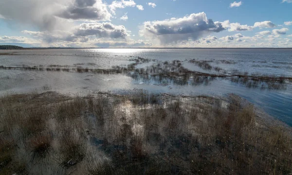 Uzakta Bir Göl Önde Kuru Sazlıklar Suda Parlayan Bulutlar — Stok fotoğraf