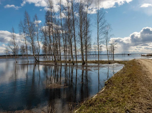 Soligt Landskap Med Sjö Molnbländning Vatten Nakna Trädsiluetter Fjärran — Stockfoto