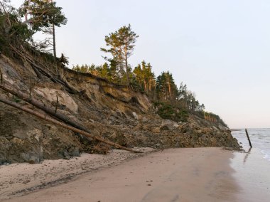 Deniz manzarası. Yağmurun ve rüzgarın etkisi altında sarp kıyı, Labraglar, Kurzeme kıyısı, Letonya