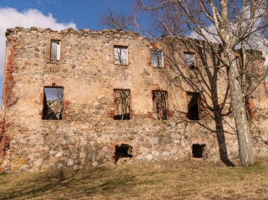 Eski bir malikanenin kalıntıları, eski binadaki ağaçlar, ilkbaharın başlarında, beyaz bulutlu güzel mavi gökyüzü, Pantene Malikanesi, Seli, Letonya