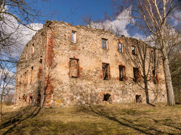 Maravilloso Paisaje Con Ruinas Una Antigua Casa Solariega Árboles Antiguo — Foto de Stock