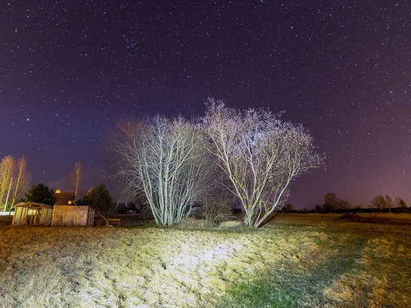 Natt Landskap Med Stjärnhimmel Belyst Träd Bakgrunden — Stockfoto