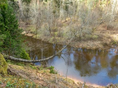 Baharın başlarında nehir manzarası, nehir kıyısında kuru çimenler ve eski sazlıklar yapraksız ağaçlar, suda güzel bulut yansımaları.