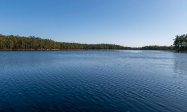 Küçük bataklık gölü, ilkbahar başları, güzel renkler, Puikule, Letonya