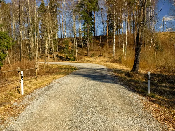 Landscape Simple Country Road Early Spring Trees Leaves — Stock Photo, Image