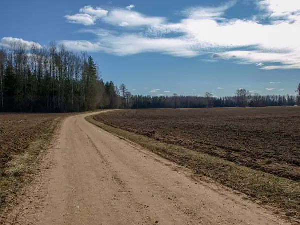 Paisaje Con Simple Camino Campo Principios Primavera Árboles Sin Hojas — Foto de Stock