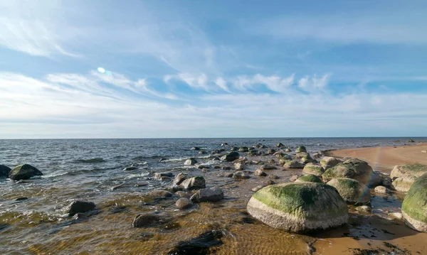 Tengerpart Zöld Kövekkel Előtérben Vidzeme Stony Seashore Lettország — Stock Fotó