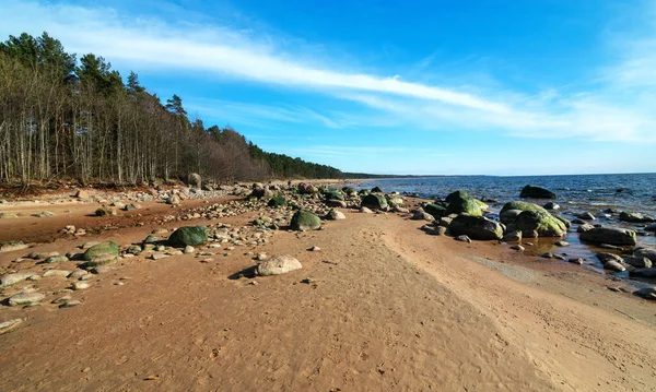 View Stony Sea Coast Vidzeme Stony Seashore Latvia — Stock Photo, Image