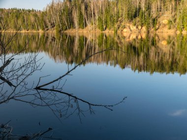 Ağaçların su yansımaları, ilkbahar manzarası, aynadaki su yansıması, önplandaki ağaçların kuru dalları
