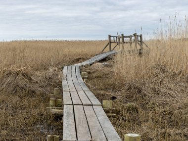 Baharda deniz kenarındaki çayır manzarası, ahşap yürüyüş yolu