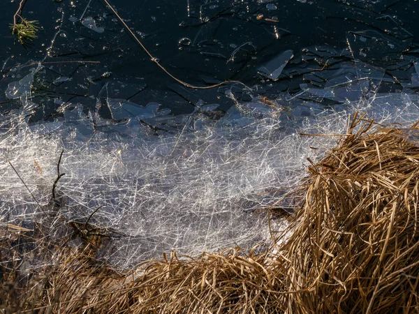 Abstrakter Bildhintergrund Mit Trockenem Gras Dünnem Eis Und Wasserstrukturen Der — Stockfoto