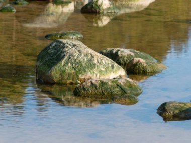 Deniz, sahil ve kayalar, Baltık Denizi 'nin arka planına karşı kumlu bir sahilde büyük kayalar.