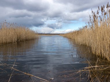 Baharın başında göl ve kuru sazlıklar ile manzara