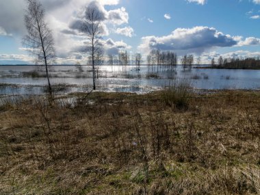 Uzakta bir göl ve önde kuru sazlıklar, suda parlayan bulutlar.