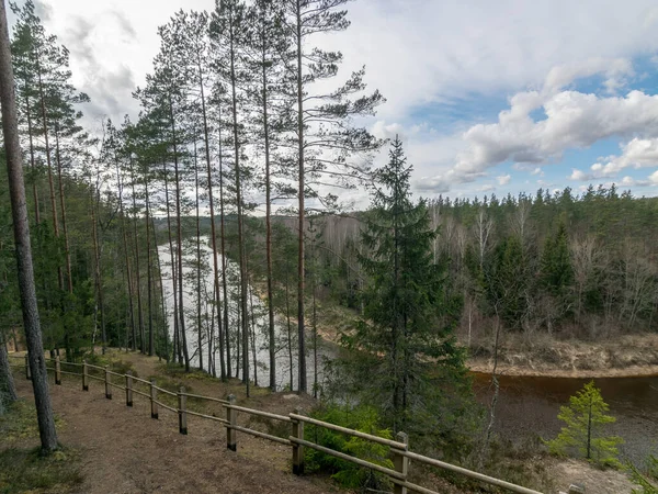 landscape from above, river forest landscape, forest river reflection, river Gauja near Erglu cliffs, Latvia