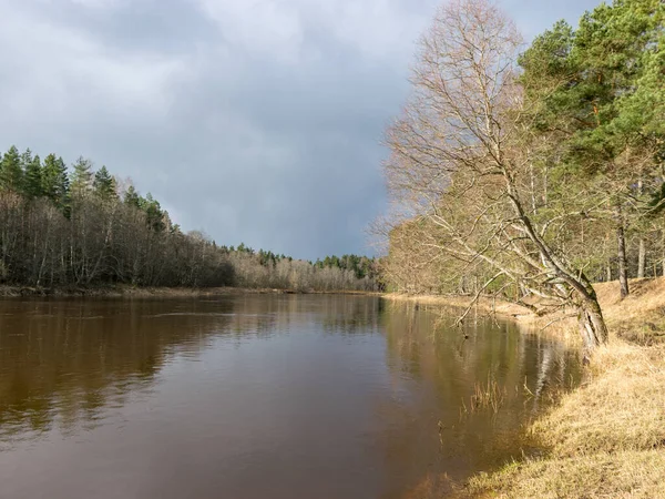 beautiful sunny landscape with river, sun shines on the banks of the river, river Gauja, Strenci, Latvia