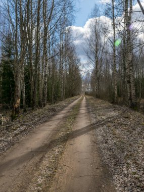 Baharın başlarında, ön planda pürüzlü bir dokusu olan toprak bir yol.