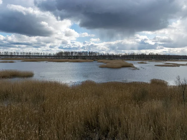 Vista Torre Lago Pântano Muitos Juncos Brilho Céu Água Pântano — Fotografia de Stock