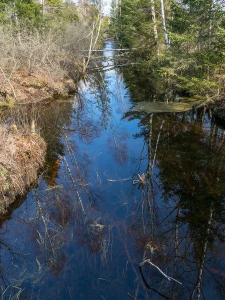 Paysage Avec Fossé Marécageux Printemps Arbres Ciel Brillent Dans Eau — Photo