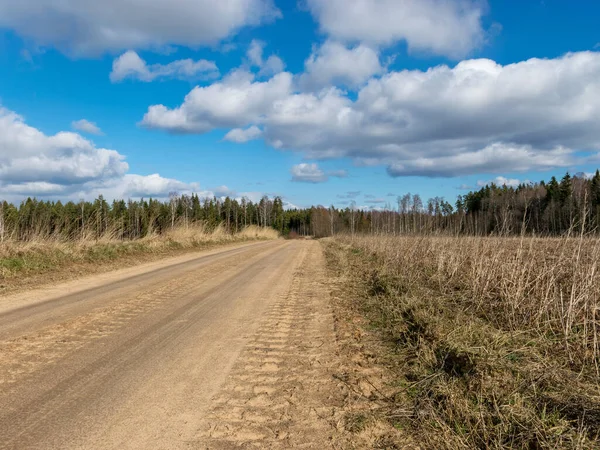 Camino Tierra Principios Primavera Con Una Textura Áspera Primer Plano — Foto de Stock