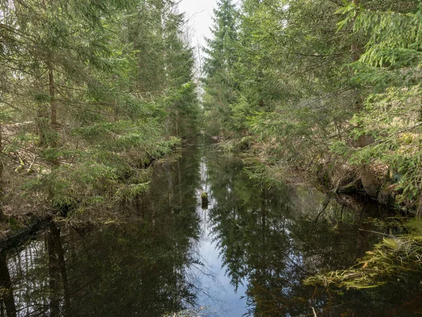 Landschap Met Moerassloot Het Voorjaar Bomen Lucht Schijnen Het Water — Stockfoto